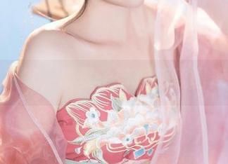间谍过家家，夏夏子带你嗨翻图库资源！